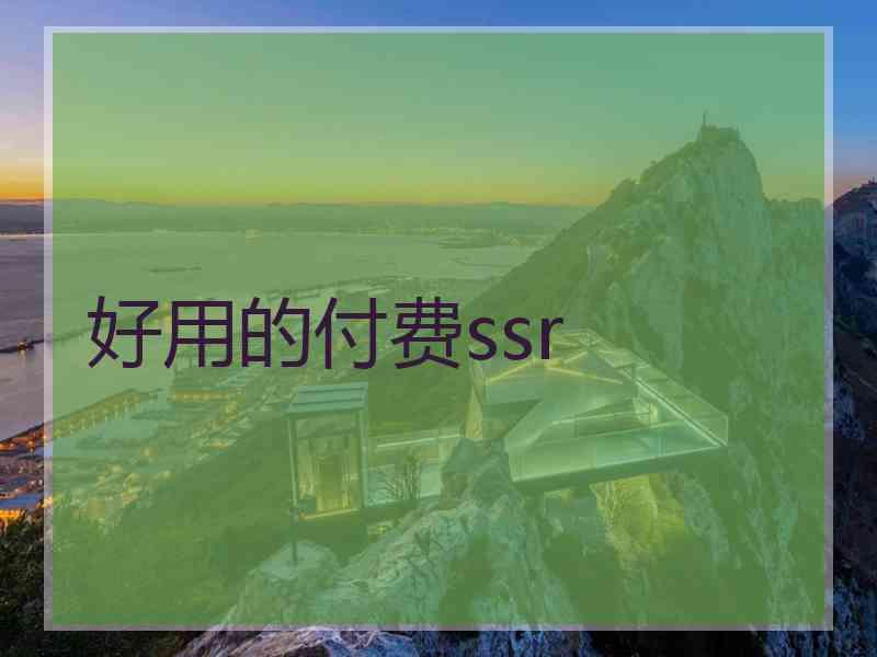 好用的付费ssr