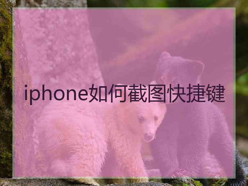 iphone如何截图快捷键