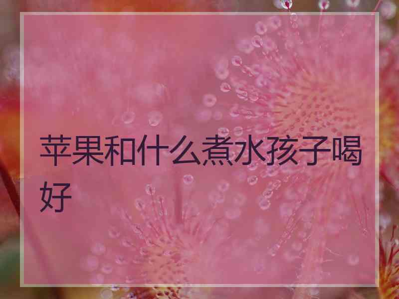 苹果和什么煮水孩子喝好