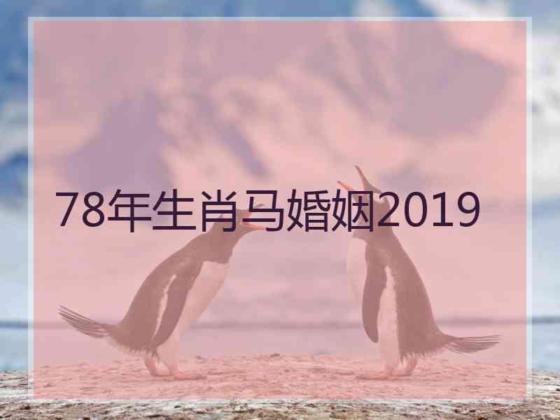 78年生肖马婚姻2019