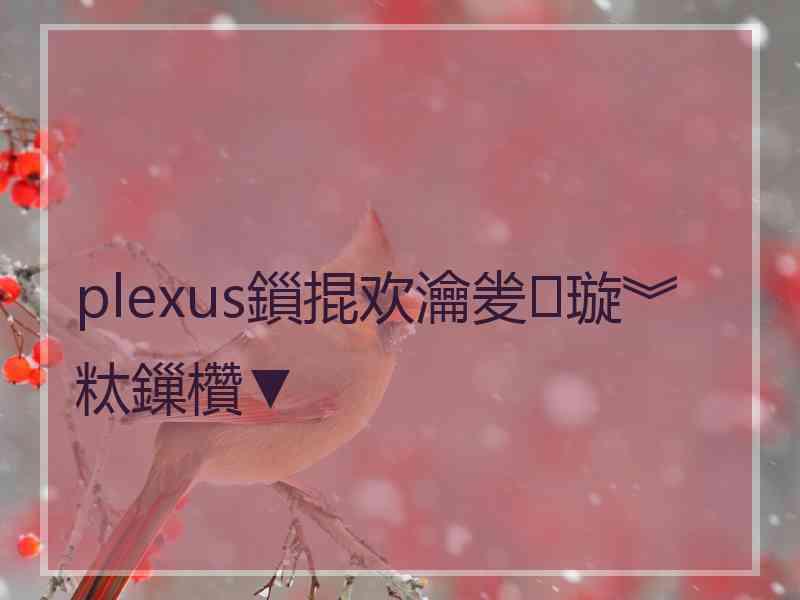 plexus鎻掍欢瀹夎璇︾粏鏁欑▼