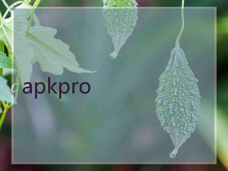 apkpro