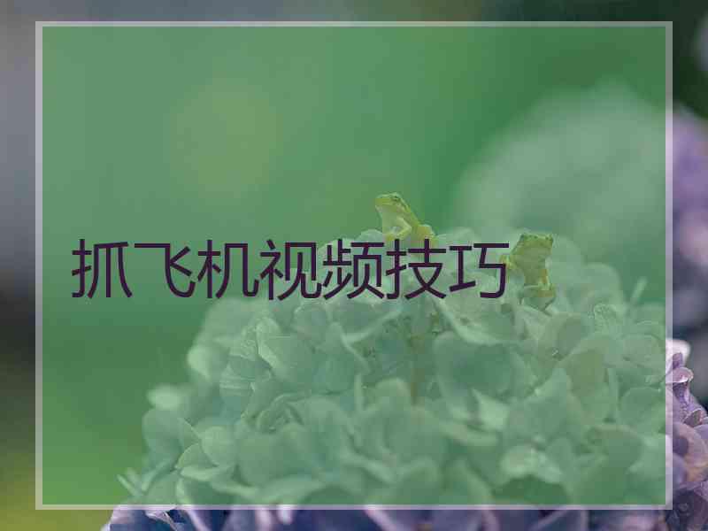 抓飞机视频技巧