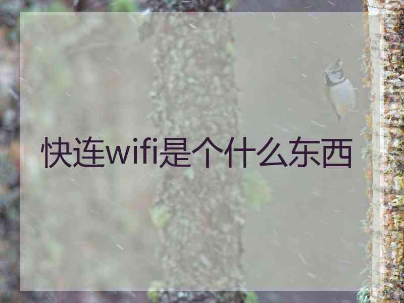 快连wifi是个什么东西