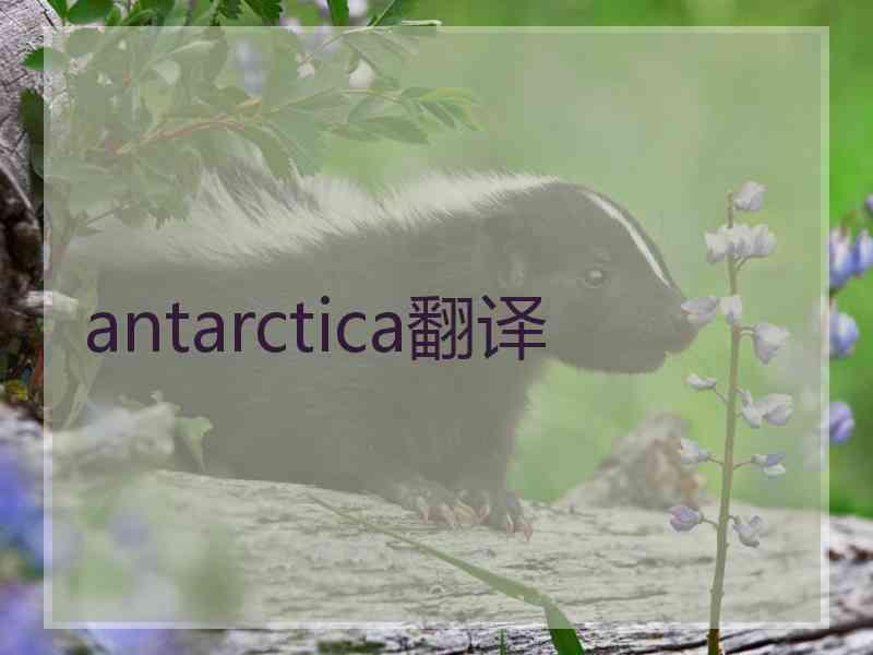 antarctica翻译