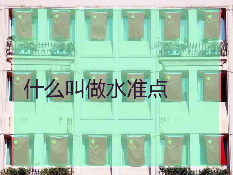 什么叫做水准点