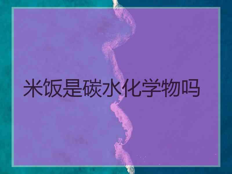 米饭是碳水化学物吗