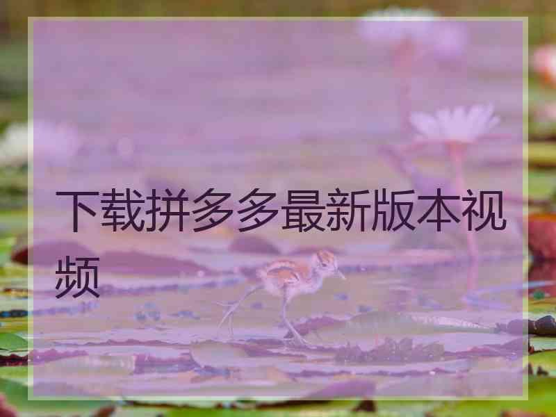 下载拼多多最新版本视频