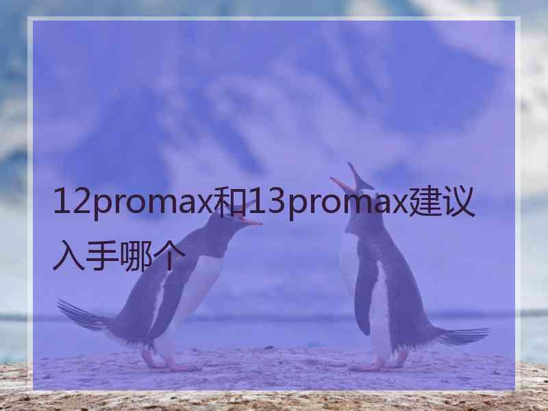 12promax和13promax建议入手哪个