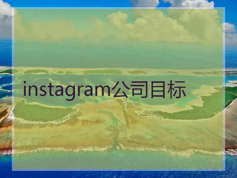 instagram公司目标