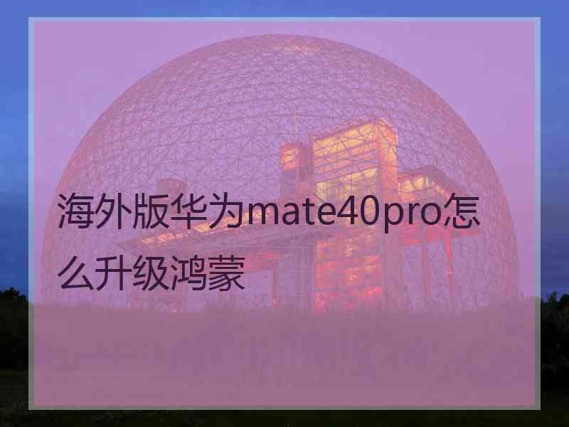 海外版华为mate40pro怎么升级鸿蒙