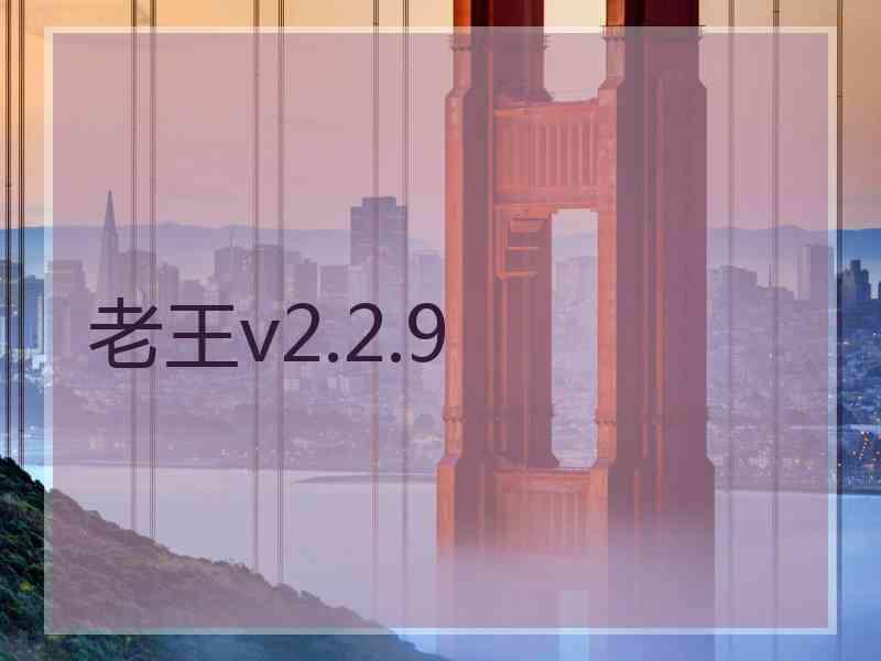 老王v2.2.9