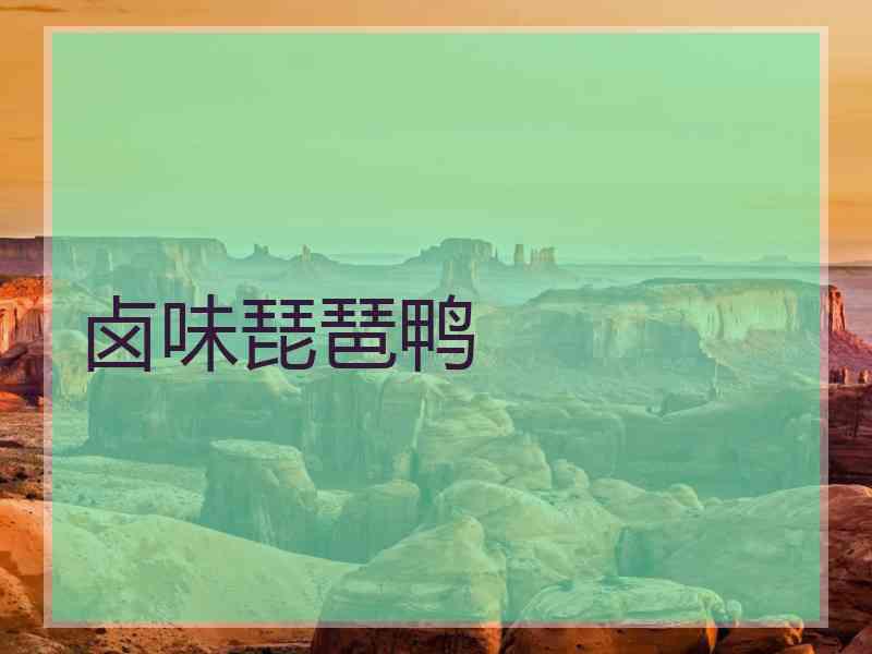 卤味琵琶鸭