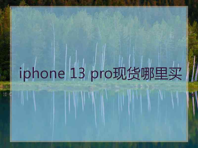 iphone 13 pro现货哪里买