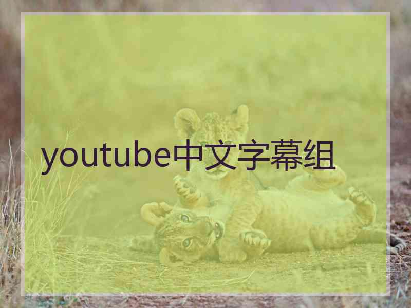 youtube中文字幕组