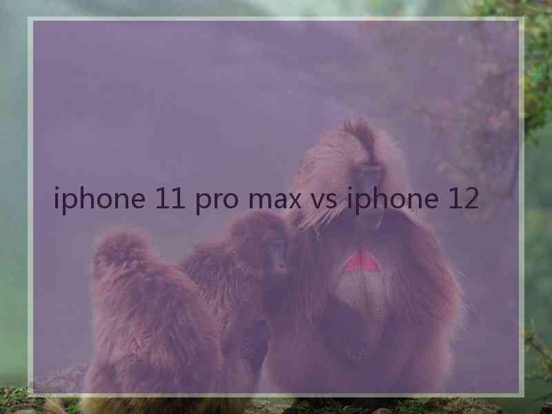 iphone 11 pro max vs iphone 12