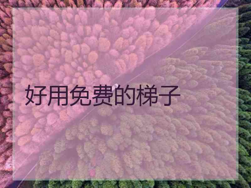 好用免费的梯子