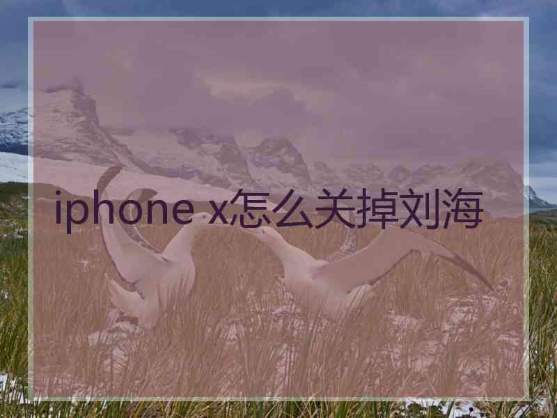 iphone x怎么关掉刘海