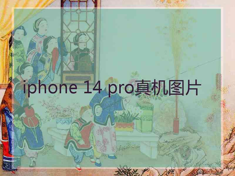 iphone 14 pro真机图片