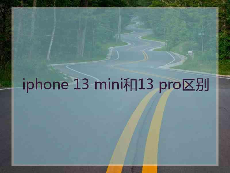 iphone 13 mini和13 pro区别