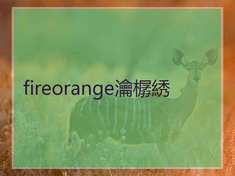 fireorange瀹樼綉