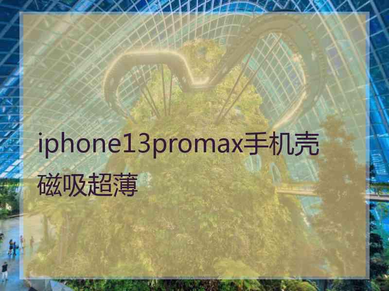 iphone13promax手机壳磁吸超薄