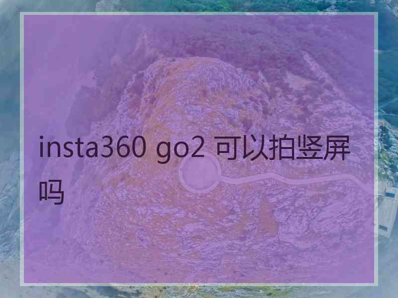 insta360 go2 可以拍竖屏吗