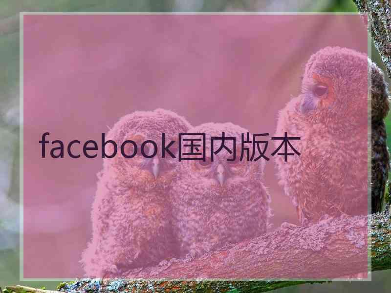 facebook国内版本