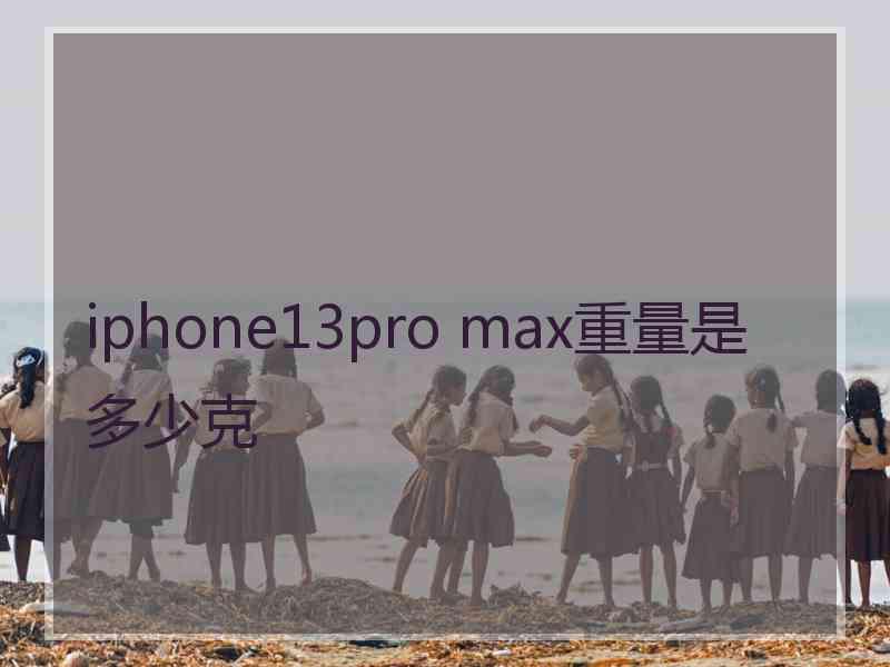 iphone13pro max重量是多少克