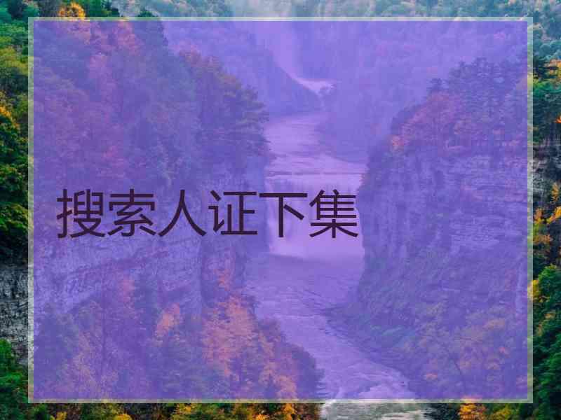 搜索人证下集