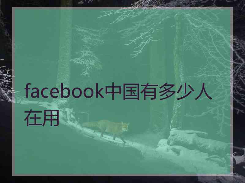 facebook中国有多少人在用