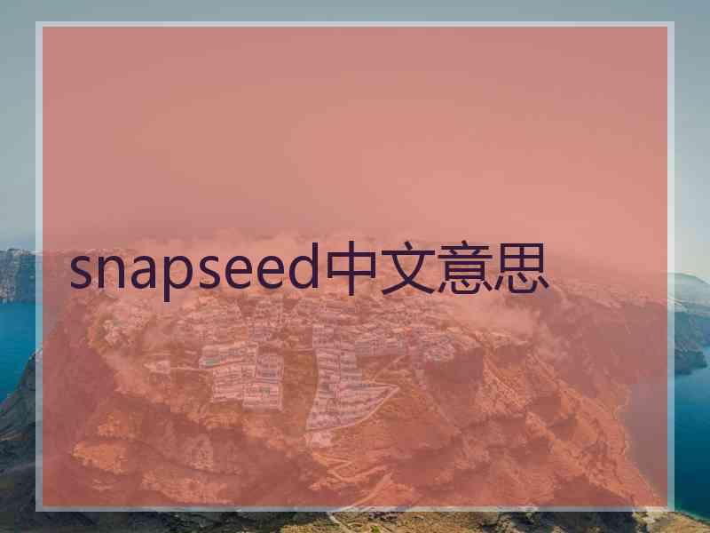 snapseed中文意思