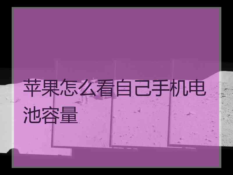 苹果怎么看自己手机电池容量