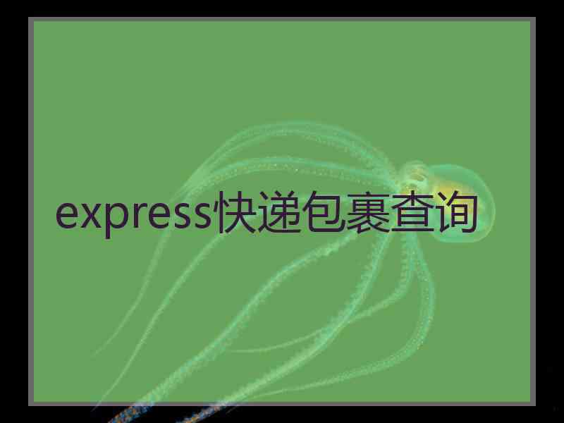 express快递包裹查询