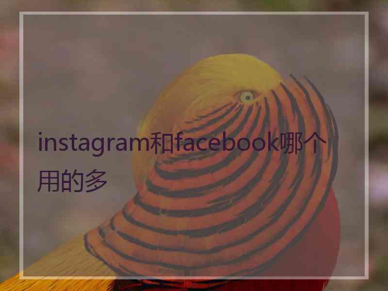 instagram和facebook哪个用的多