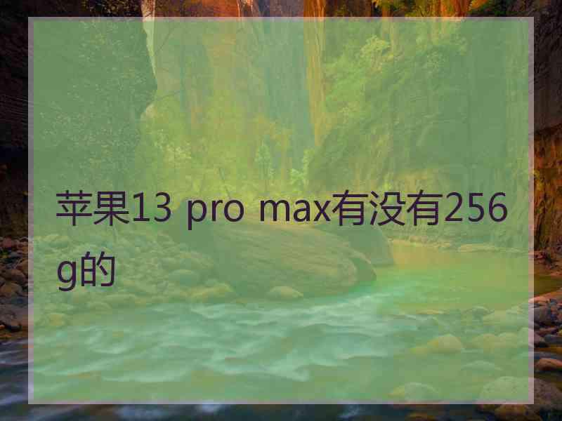 苹果13 pro max有没有256g的