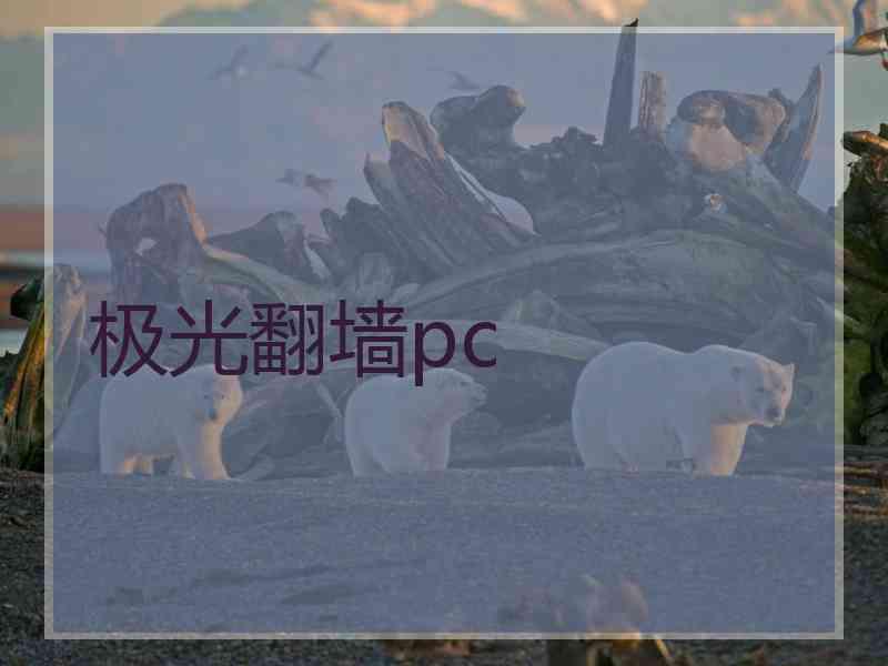 极光翻墙pc