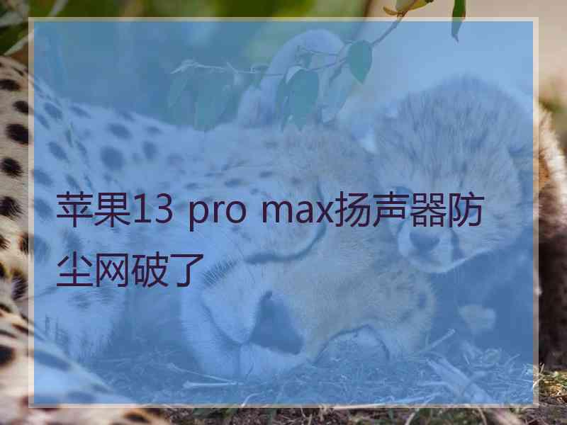 苹果13 pro max扬声器防尘网破了