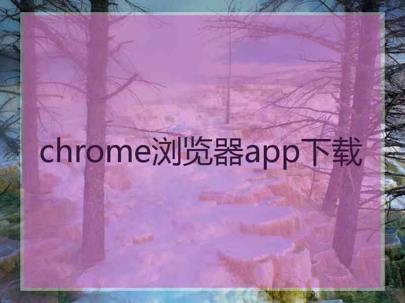 chrome浏览器app下载