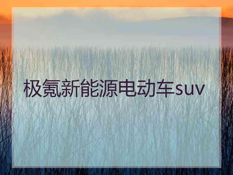 极氪新能源电动车suv