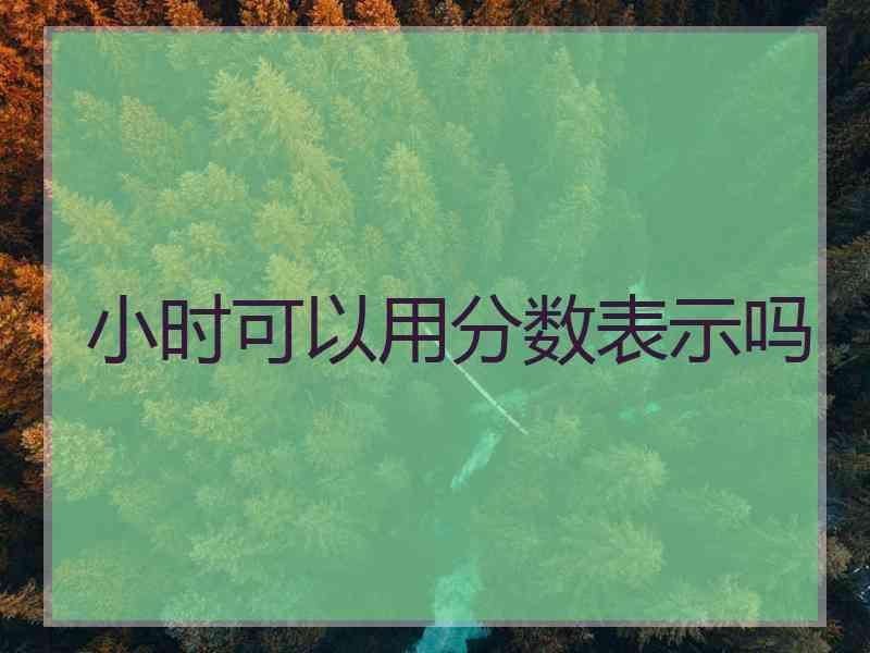 小时可以用分数表示吗