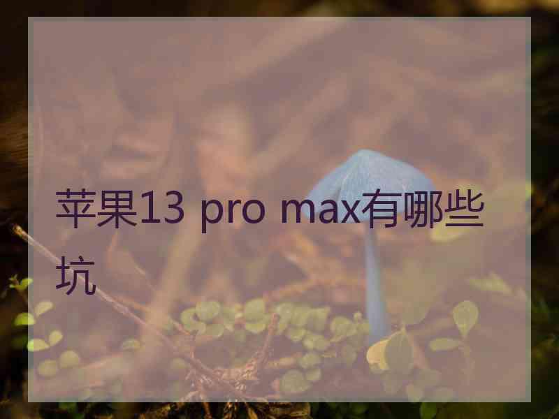 苹果13 pro max有哪些坑