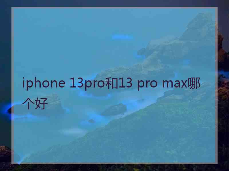 iphone 13pro和13 pro max哪个好