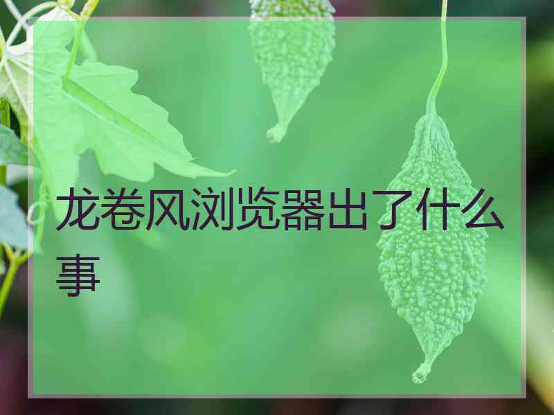 龙卷风浏览器出了什么事