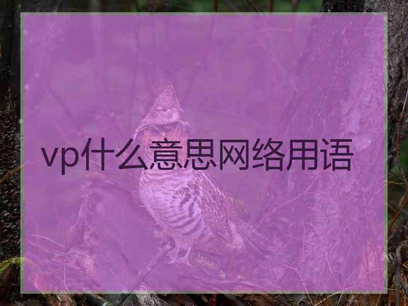 vp什么意思网络用语