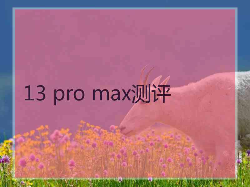 13 pro max测评