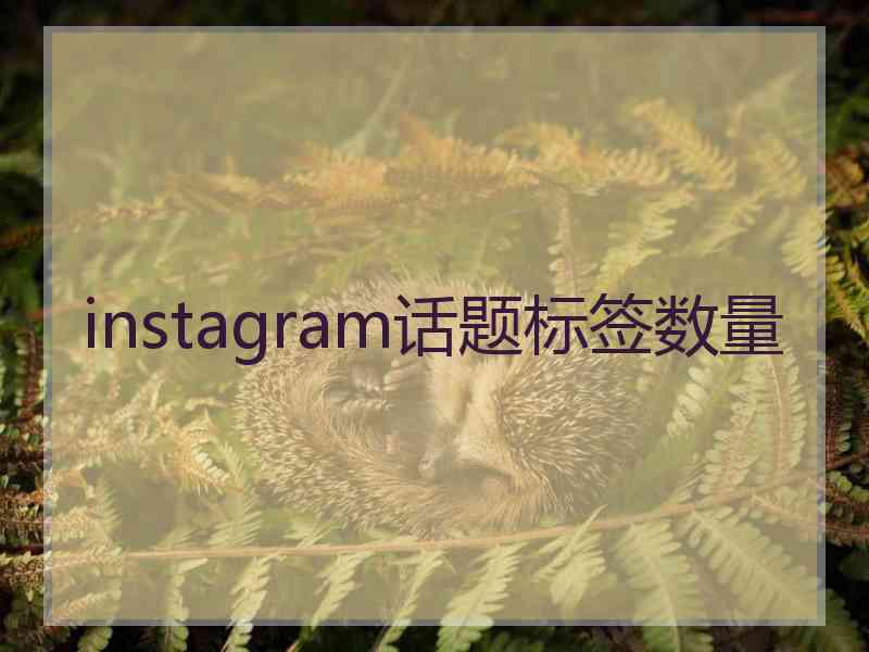 instagram话题标签数量