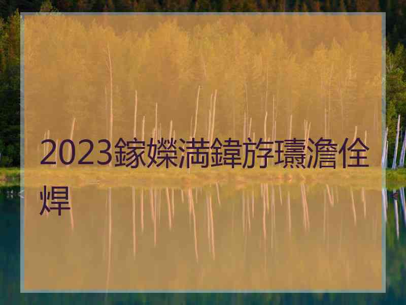 2023鎵嬫満鍏斿瓙澹佺焊