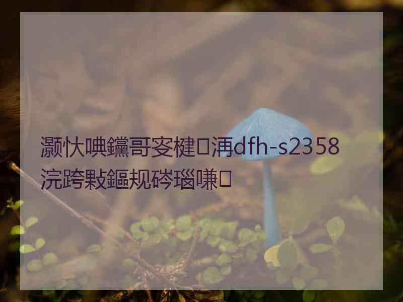 灏忕唺钂哥叜楗洅dfh-s2358浣跨敤鏂规硶瑙嗛