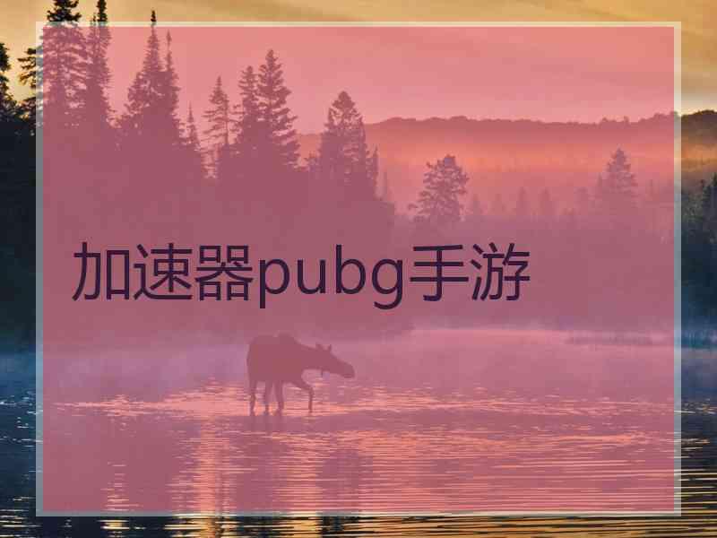 加速器pubg手游